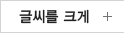 글씨를 크게 Ctrl+Alt+Q